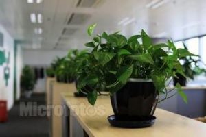 摆放电脑办公桌最理想的方位