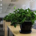 摆放电脑办公桌最理想的方位